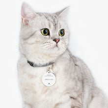 Load image into Gallery viewer, Pet Tag